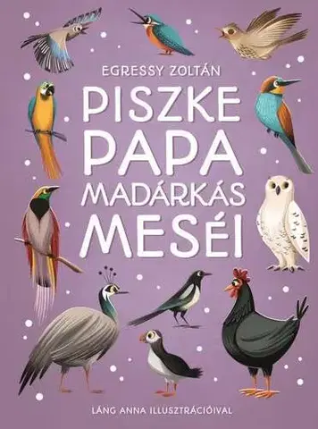 Rozprávky Piszke papa madárkás meséi - Zoltán Egressy