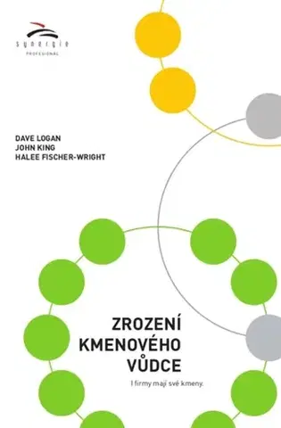 Manažment Zrození kmenového vůdce - Dave Logan,John King,Halee Fischer - Wright