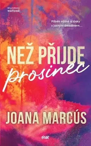 Romantická beletria Než přijde prosinec - Joana Marcús,Romana Bičíková