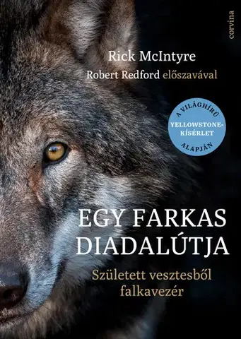 Biológia, fauna a flóra Egy farkas diadalútja - Rick McIntyre
