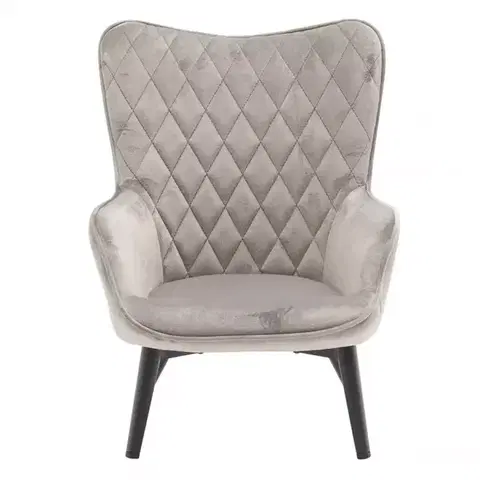 Moderné kreslá Kreslo Mini Light Grey Velvet 12