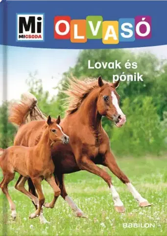 Pre deti a mládež - ostatné Lovak és pónik - Mi Micsoda Olvasó - Christina Braun