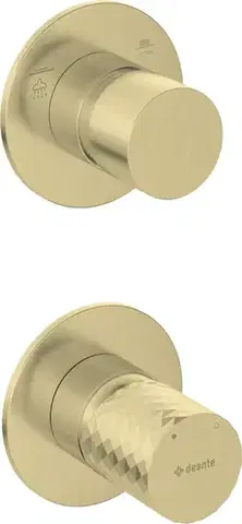 Kúpeľňové batérie DEANTE - Silia Hexa kartáčované zlato Sprchová batéria, podomietková, s prepínačom sprchy BHS_R44P