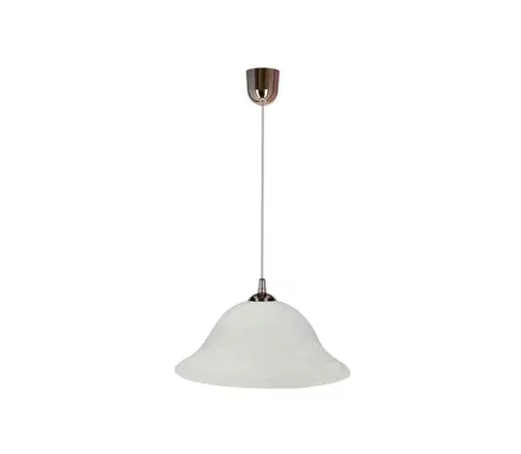 Svietidlá  Luster na lanku VERA 1xE27/60W/230V medená/biela 31-24572
