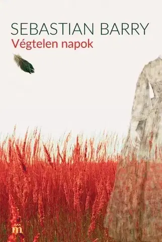 Svetová beletria Végtelen napok - Sebastian Barry
