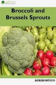 Hobby - ostatné Broccoli and Brussels Sprouts