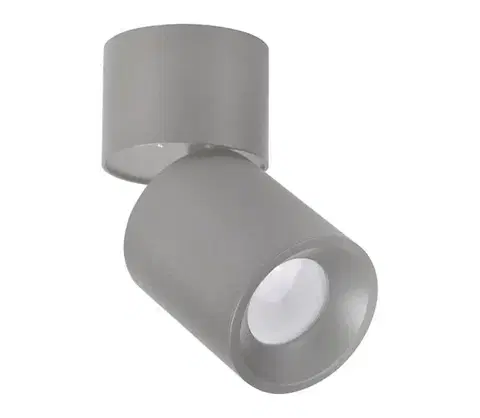 Svietidlá  Bodové svietidlo NIXA 1xGU10/10W/230V šedá 314253