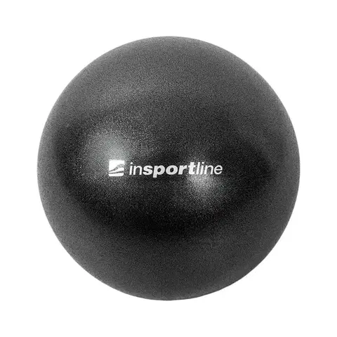 Gymnastické lopty Lopta na posilňovanie inSPORTline Aerobic Ball 25 cm bordó