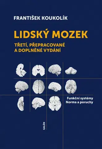 Medicína - ostatné Lidský mozek - František Koukolík