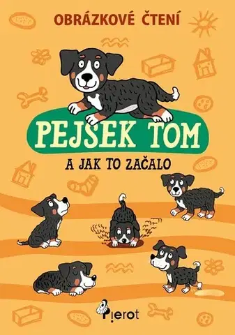 Pre deti a mládež - ostatné Pejsek Tom a jak to začalo - Petr Šulc