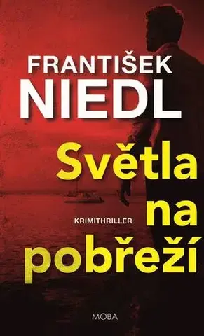 Detektívky, trilery, horory Světla na pobřeží - František Niedl