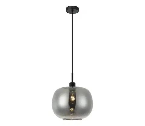 Svietidlá Viokef Lighting Závesné svietidlo ALAN na lanku 1xE27/40W/230V dymovo čierne 4302900