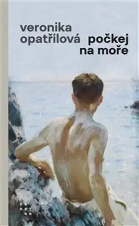 Česká beletria Počkej na moře - Veronika Opatřilová