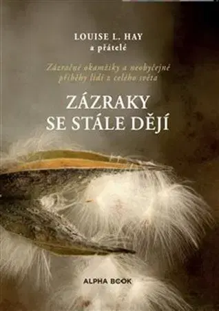 Ezoterika - ostatné Zázraky se stále dějí - Louise L. Hay