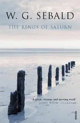 Cudzojazyčná literatúra The Rings Of Saturn - Vintage Voyages - W. G. Sebald