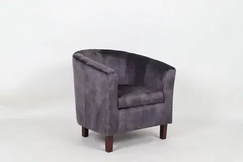 Kreslá Kreslo ARTEMIS Dekorhome