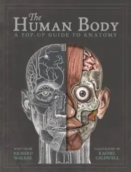 V cudzom jazyku The Human Body - Richard Walker