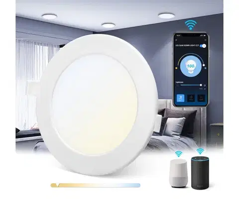 Svietidlá  B.V.  - LED Stmievateľné podhľadové svietidlo LED/3W/230V 2700-6500K biela S10304PO2