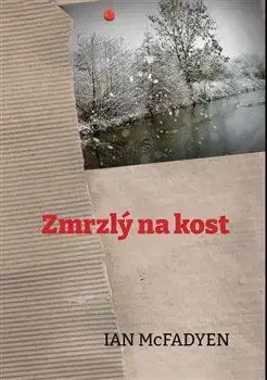 Detektívky, trilery, horory Zmrzlý na kost - Ian McFadyen