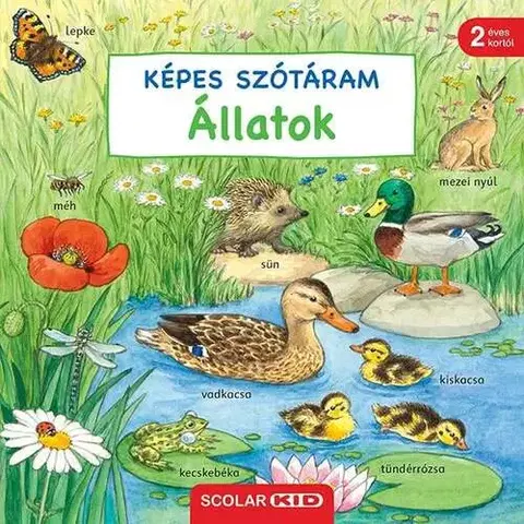Leporelá, krabičky, puzzle knihy Képes szótáram - Állatok - Susanne Gernhäuser