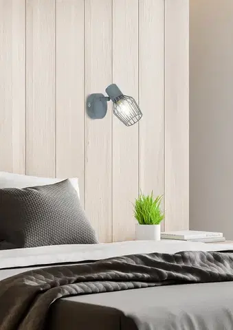 Nástenné svetlá Nástenná lampa 1X40W E14 sivá VIKING