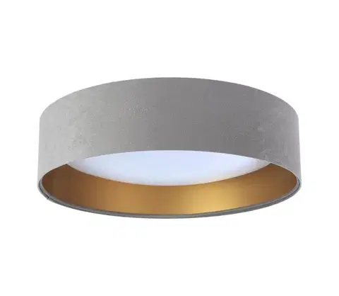 Svietidlá  LED stropné svietidlo GALAXY LED/24W/230V sivá/zlatá FG-BS0067