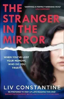 Detektívky, trilery, horory The Stranger In The Mirror - Liv Constantine
