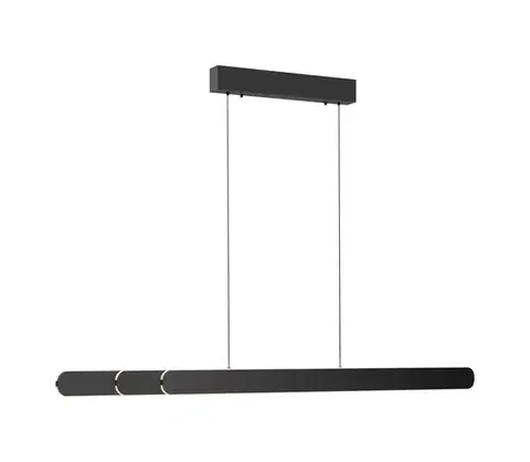 Svietidlá Schöner Wohnen 12577-18 - LED stmievateľný luster na lanku ADRIANA 2xLED/24W/230V čierna 12577-18