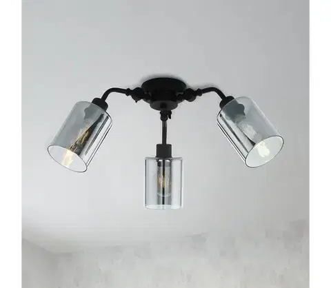 Svietidlá Eglo 43308 - Prisadený luster FORESTBURG 3xE27/40W/230V 43308