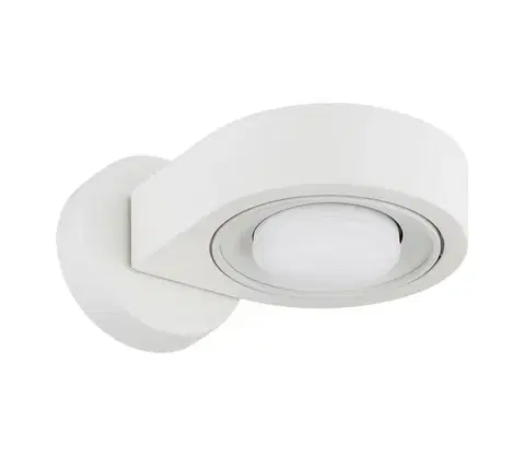 Svietidlá Argon 8897 - Nástenné svietidlo LOTUS 1xGX53/12W/230V biele 8897
