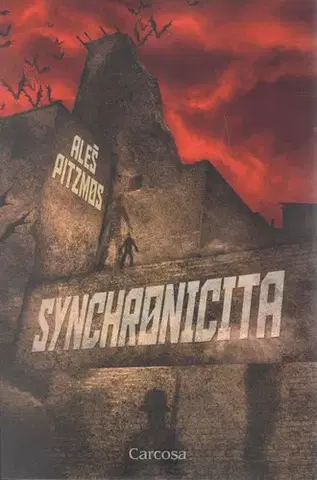Detektívky, trilery, horory Synchronicita - Aleš Pitzmos