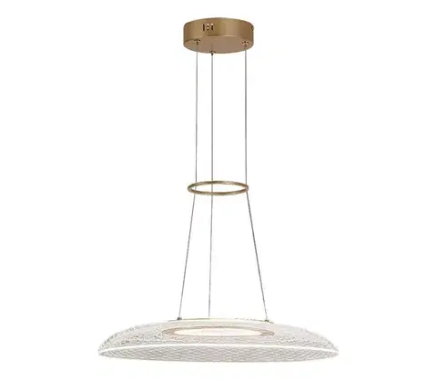 Svietidlá Rabalux 72411 - LED závesné svietidlo na lanku ZOFRAEL LED/24W/230V 3000K 72411
