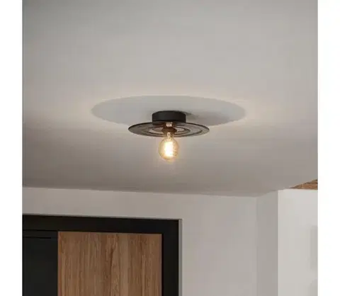 Svietidlá Eglo 44028 - Stropné svietidlo LINTMILL 1xE27/40W/230V šedá 44028