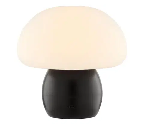 Lampy Brilliant - LED Stmievateľná nabíjateľná stolová lampa DUPIS LED/2W/5V 2700K čierna G60230/76