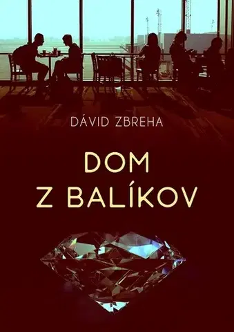 Slovenská beletria Dom z balíkov - Dávid Zbreha