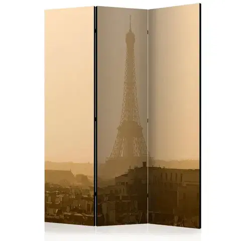 Paravány Paraván Paris at Dawn Dekorhome