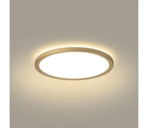 Svietidlá Brilagi - LED kúpeľňové svietidlo ULTRA SLIM LED/12W/230V pr. 22,5 cm zlaté IP54 BRI580