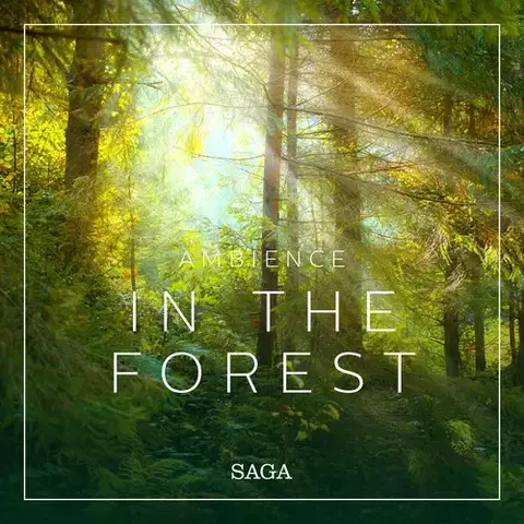 Duchovný rozvoj Saga Egmont Ambience - In the Forest (EN)