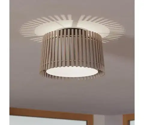 Svietidlá Eglo 900901 - Stropné svietidlo FATTORIA 1xE27/25W/230V 900901