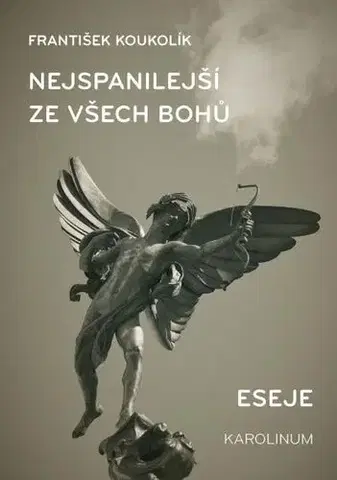 Filozofia Nejspanilejší ze všech bohů. Eseje - František Koukolík