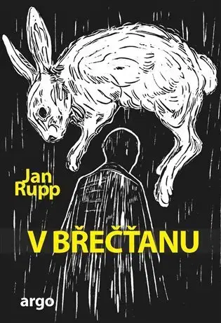 Romantická beletria V břečťanu - Jan Rupp