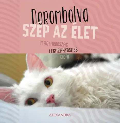 Citáty, výroky, aforizmy, príslovia, porekadlá Dorombolva szép az élet - Magyarország legaranyosabb cicái - 365 gondolat