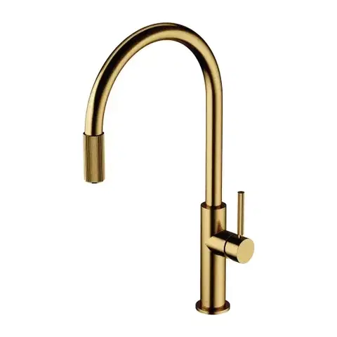 Kuchynské drezy OMNIRES OMNIRES - SWITCH drezová batéria so sadou filtra D1, brúsené zlato SW9057-FD1GLB