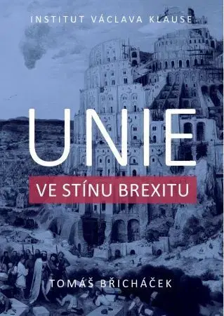 Moderné dejiny Unie ve stínu brexitu - Tomáš Břicháček