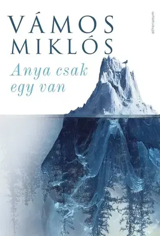 Svetová beletria Anya csak egy van - Miklós Vámos