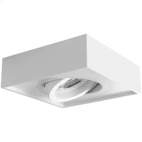 Podhľadové svietidlá Bodové svietidlo MINI GORD DLP-50-W 28780