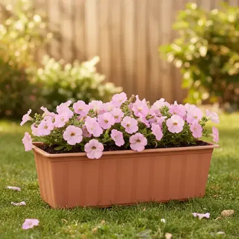 Záhradné kvetináče ProsperPlast Kvetináč BALCONY CAN | terakota 60 cm