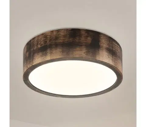 Svietidlá BRILAGI - LED Stropné svietidlo CARVALHO SMOKEY LED/20W/230V dub pr. 27,5 cm LD-PD-6.1/SMOKY