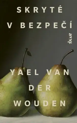 Historické romány Skryté v bezpečí - Yael Van Der Wouden,Andrea Vargovčíková