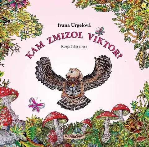 Básničky a hádanky pre deti Kam zmizol Viktor - Ivana Urgelová